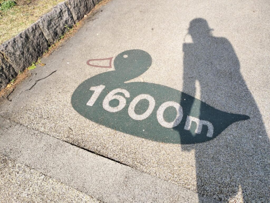 筆者Aが大濠公園のゴムチップ舗装ランニングコースを走る様子