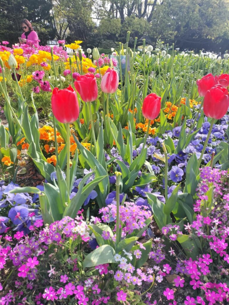 大濠公園の春に咲く色とりどりの花々