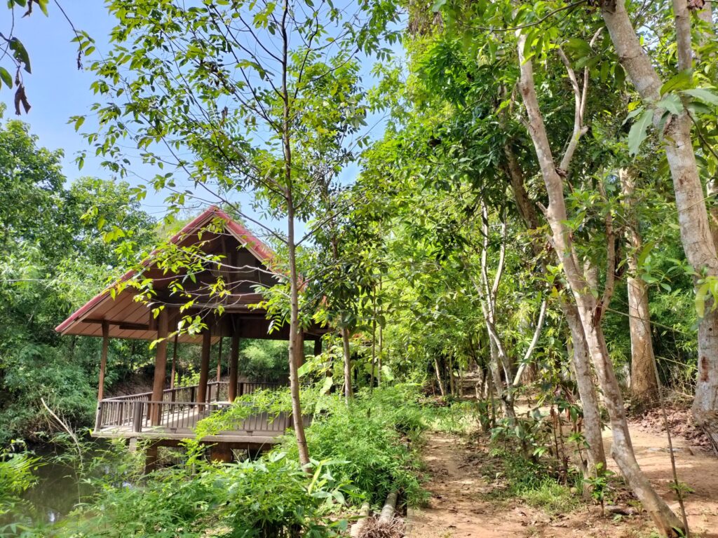 筆者A撮影:Thai Farm Cooking School敷地内