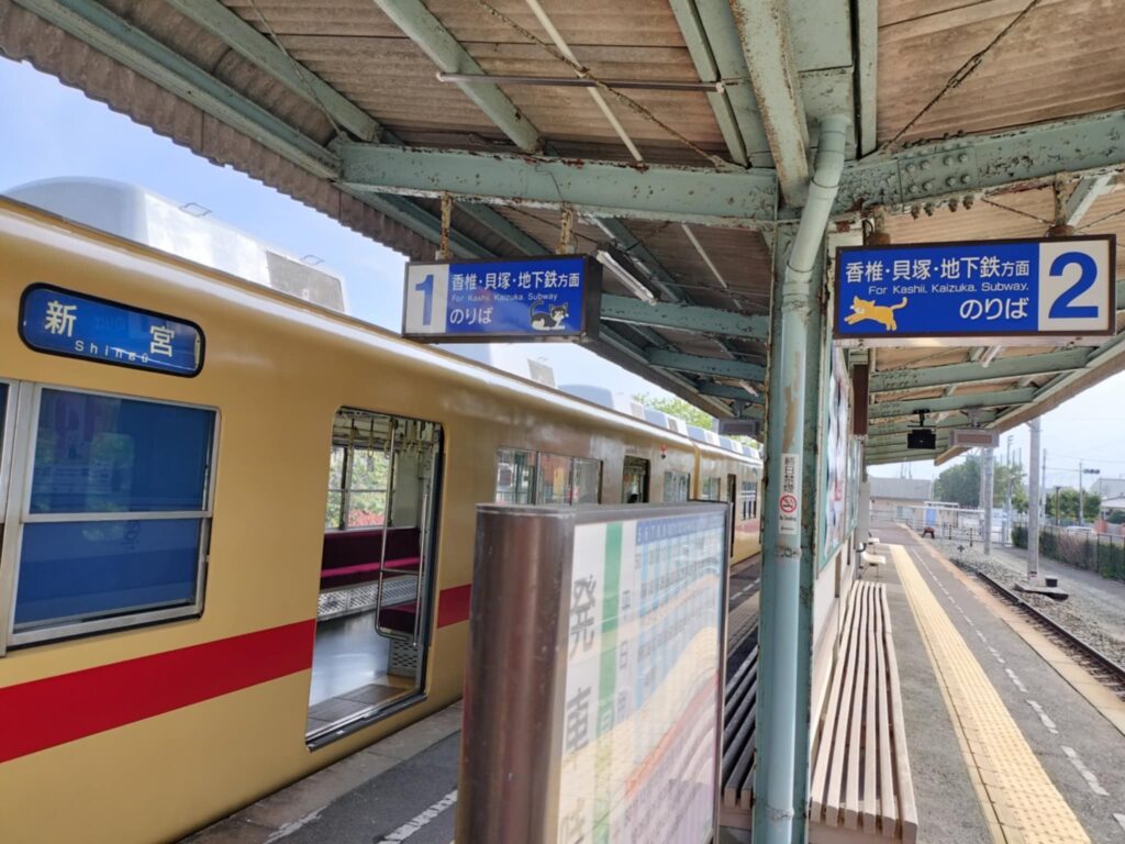 筆者A:西鉄新宮駅から渡船まで徒歩で移動する 駅ホーム猫