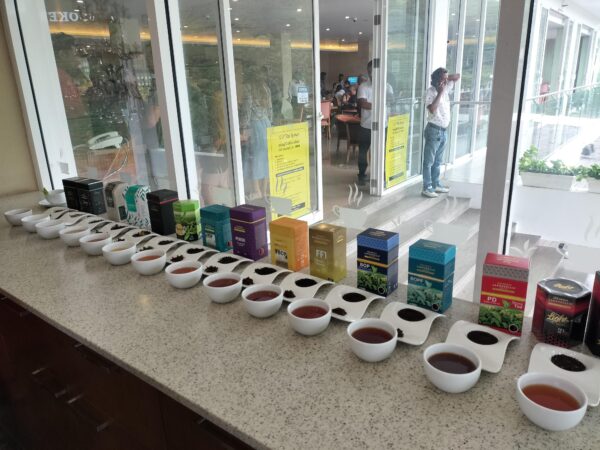  Damro Tea Factory Labookellie Tea Lounge ダムロ・ティーファクトリーの紅茶サンプル手前奥から手前になる程、紅茶の濃度が濃い。（筆者A撮影）