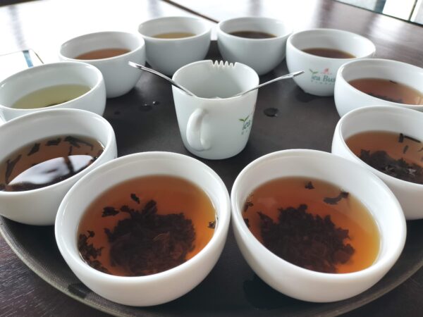 Oak Ray Tea Factory & Museumオークレイ・ティーファクトリー　試飲は全種類無料。有難いです。（筆者A）