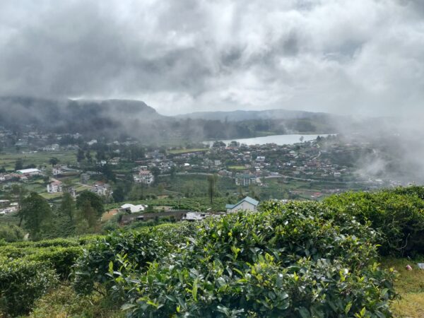 Single Tree Hill View Point 数分後、霧が少し晴れた状態(筆者A撮影)