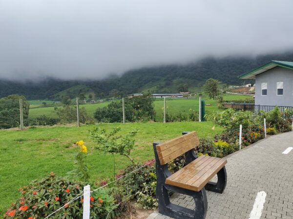 New Zealand Farm ニュージーランドファーム。イギリス!?それともニュージーランドにいるような緑一面(筆者A撮影)