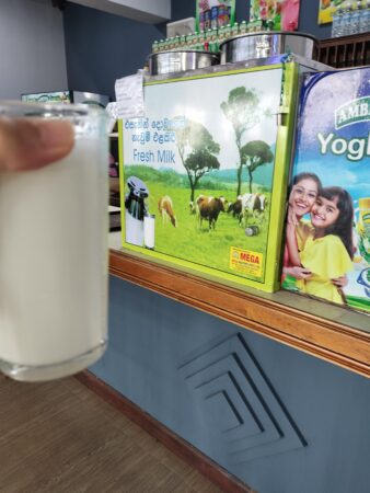 New Zealand Farm ニュージーランドファームしぼりたてのホットミルク!お砂糖が入ってないのに甘い味。(筆者A撮影)