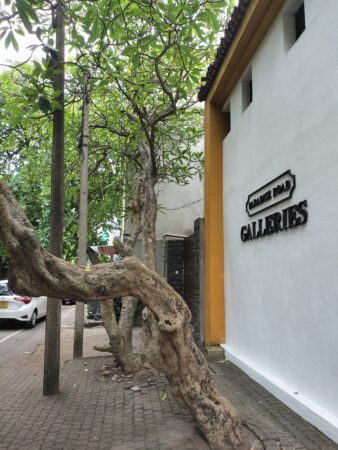 The Gallery Cafe /ザ・ギャラリー・カフェ外観の様子ジェフリ・バワ旧事務所のカフェ(筆者A撮影)